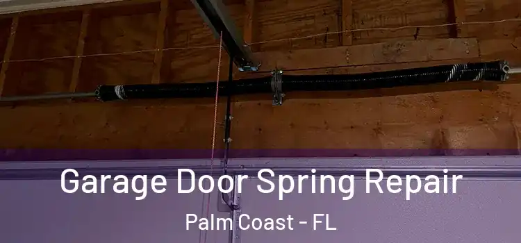  Garage Door Spring Repair Palm Coast - FL