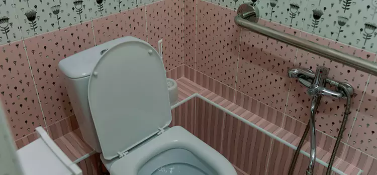 Meeting Diverse Needs With Accessible Restroom Solutions in Palm Coast, FL